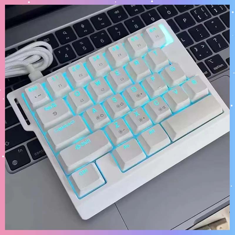 Gaming Esports Esports - HE30 Mechanical Gaming Keyboard 29keys Magnetic